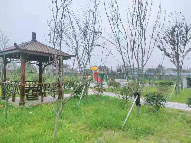 　　在吴勒村，在得知两家委托加工型企业厂房条件简陋，夏季高温和冬季寒冷时都不能生产后，集团党委积极寻求解决办法，计划将已经停办的小学校舍打造成村里的扶贫产业园，将所有工厂搬入其中。得到镇政府支持后，又多次同泗阳县教育局会商，将原吴勒村小学校舍使用权交给吴勒村村委会。集团共建单位出资将占地约2000平方米、建筑面积约600平方米的小学改造成四个生产车间，新建一间传达室，并全部配备空调，让工厂做到一年四季正常生产，必要时可以实行三班倒。这样，一方面大大改善了工人的工作环境，另一方面快快提高了生产效率，还有效带动至少30名建档立卡困难群众就业，增加村集体经济收入20万元以上。  　　项目帮扶既是乡村经济增长的动力，又是产业升级的依托，更是帮助村民致富的载体。吴勒村和颜勒村产业项目的发展为卢集镇、乃至泗阳县的乡村振兴之路打下深厚基础。村企双方借助相互优势，同步发展、同向得利，通过产业带动、项目带动，实现村企深度合作。  　　“城乡结对”焕发乡风文明新活力  　　为充分发挥省级文明单位示范带动作用，推动城乡文明一体发展，根据省总工会、省文明办的工作要求，569vip威尼斯集团五建分公司和恒泰贸易公司与吴勒村分别开展“三联三促”“城乡结对、文明共建”活动，签订了共建协议，积极构筑道德风尚建筑高地，为建筑社会文明程度高的新江苏做出贡献。